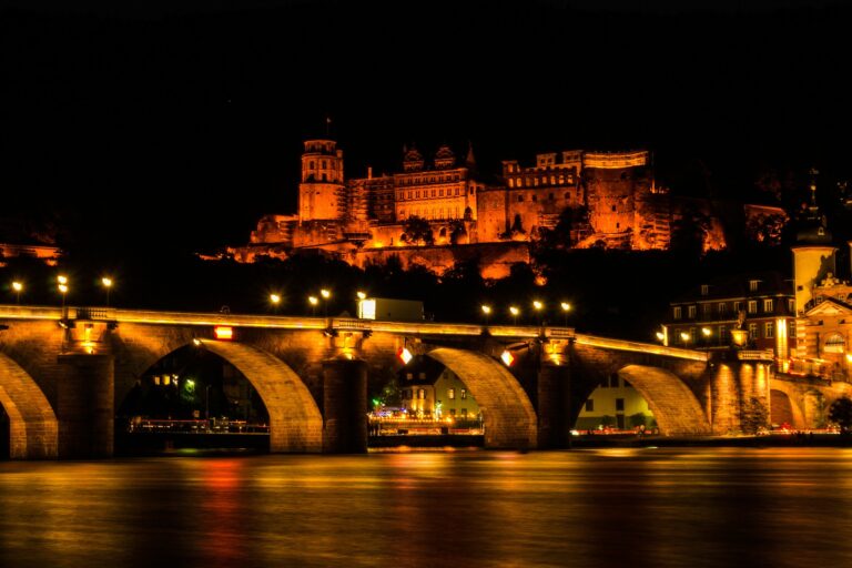 n Bildhintergrund befindet sich das Heidelberger Schloß, der Neckar und die Alte Brücke beleuchtet bei Nacht